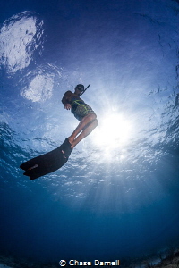 "Going Up"
A free diver heads for the surface. by Chase Darnell 